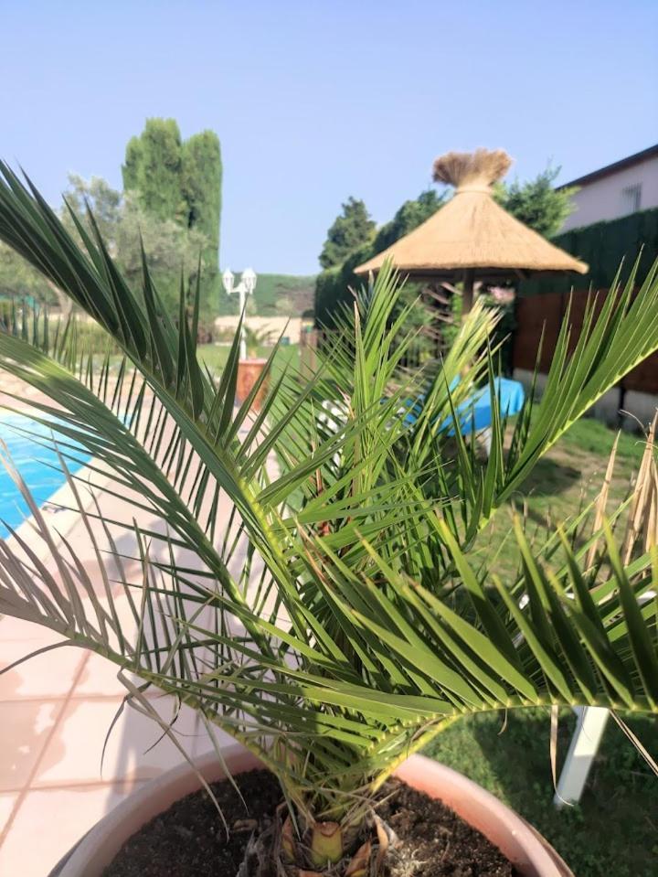 Le Gite De Lolivier En Provence Aramon Dış mekan fotoğraf