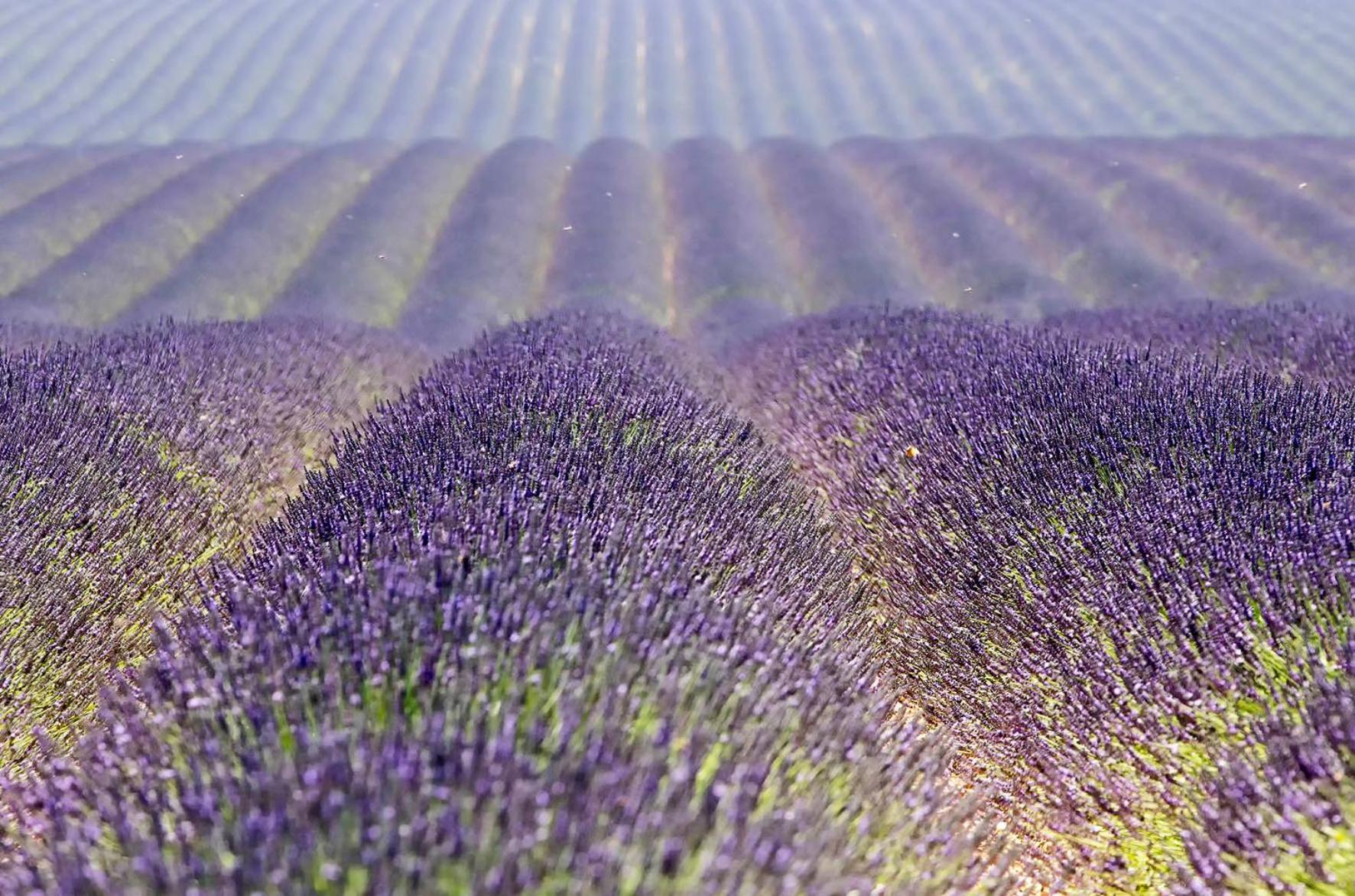 Le Gite De Lolivier En Provence Aramon Dış mekan fotoğraf